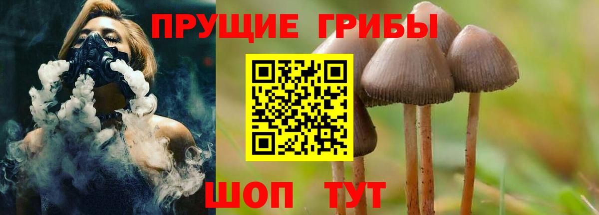 Киров  Галлюциногенные грибы ЛСД  Вход с VPN 